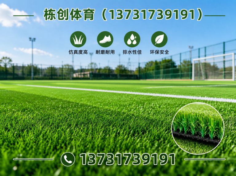 沧县栋创体育展示图